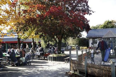 Der er masser af plads at boltre sig på hos Jyllands Park Zoo, så corona-afstandsproblemer burde ikke at være noget problem. Foto: Flemming Hansen