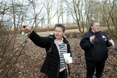 Rikke Skovgaard Sørensen (t.v.) og Birgitte Guldhammer Falkesgaard fra Naturpatruljen har pyntet træerne med glaspåskeæg i Vildbjerglund, så parken er klar til påske. Foto: Flemming Hansen