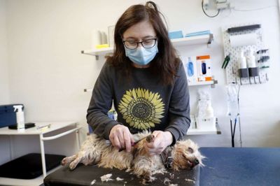 Hunden her er en typisk patient i Lotte Toftdals dyrlægepraksis i Ikast, men et par gange om ugen skifter hun dyrene ud med mennesker og uddeler coronavacciner i det midt- og vestjyske. Foto: Flemming Hansen