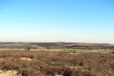 Vind Hede og Stråsø Plantage bliver Danmarks nye naturnationalpark. Området rummer et unikt natur- og dyreliv. Udsigten her er fra Troldtoft krat mod nord over Vind Hede. Foto: Herning Kommune