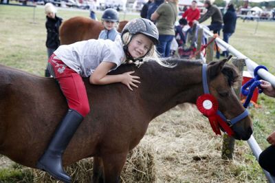 Heste, kvæg, får, geder og børnenes dyr kan blive udstillet i Aulum 14. august. Foto: Flemming Hansen