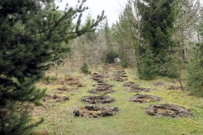 Sagen om de gravede huller i Rind Plantage er rejst i både Herning Kommune og Danmarks Naturfredningsforening. Foto: Bo Lundgaard