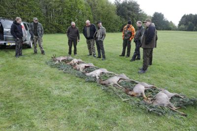 Fotoreportage fra bukkejagt. Foto: Henrik Ole Jensen