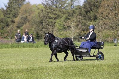 Suzi Jørgensen og Molligan af Nørvang under dressur-programmet. Foto: Tom Laursen