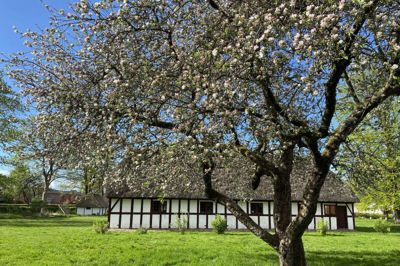 Lørdag formiddag er der skattejagt på Frilandsmuseet. Foto: Pr-foto