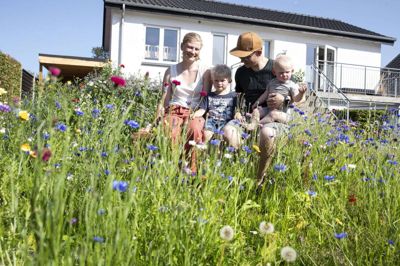 Anne Hansen og Morten Kvist Sørensen - her med børnene Arthur og Konrad - såede en frøblanding af vilde blomster, da de blev trætte af at slå græsset i forhaven. Nu har de fået et velduftende og farverigt blomsterhav, der har sat helt nyt præg på huset på Niels Bohrs Vej. Foto: Tom Laursen