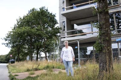 Anette Lauridsen ved hullet i rækken af træer, der ifølge lokalplanen skulle bevares og beskyttes. Hun måtte selv stoppe anlægsgartnerne, før de havde fældet endnu flere af de beskyttede egetræer. Foto: Tom Laursen