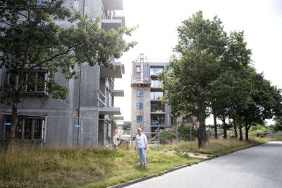 Opførelsen af de to boligtårne på Dæmningen er kommet i konflikt med lokalplanens bestemmelser om, at rækken af egetræer skal blive stående. Bygherren - AA Ejendomme - erkender, at der er sket fejl. Foto: Tom Laursen
