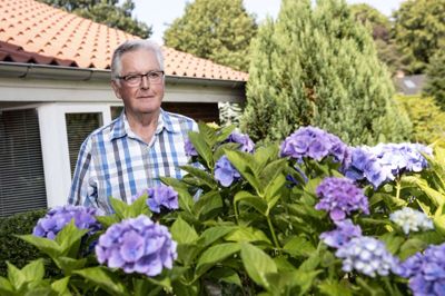 Keld Jørgensen får ikke blot Spjalds historie til at blomstre. Hjemme i haven på Byskellet blomstrer hortensiaen også, og planten ser ud til at blive passet og plejet godt. Foto: Tom Laursen