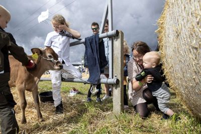 Børnedyrskuet er tilbage i år, hvor der stadig er plads til tilmeldinger. I år er der sågar meldt to skildpadder til. Foto: Jørn Deleuran