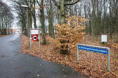 Foto: Tom Laursen