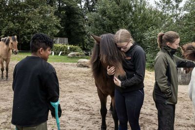 Den daglige pasning og pleje af heste og dyr på »Landeriet« er omdrejningspunktet for uddannelsen af (fra venstre) Nikolaj Simonsen, Julie Østergaard, der giver hoppen Dimmbra et kram, og Annabel Henriksen. Foto: Jørn Deleuran