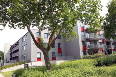 Brændgårdparken kom med i det boligsociale projekt Plads Til Forskel i 2019, efter kriminaliteten steg i området. Den er siden faldet. Foto: Flemming Hansen