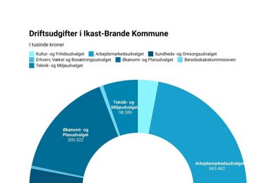 Ud af driftsbudgettet for 2022 på samlet 2,6 milliarder kroner er sundsheds- og omsorgsudvalget højdespringer med 748 millioner kroner, derefter kommer børne- og undervisningsudvalget, arbejdsmarkedsuvalget, teknik- og miljøudvalget. Med de tre mindste budgetter ligger henholdsvis kultur- og fritidsudvalget på 56,6 millioner kroner, erhvervs, vækst og bosætningsudvalget på 6,4 millioner kroner og slutteligt beredskabskommissionen med 9,6 millioner kroner. Datawrapper-grafik: Camilla Abildgaard Norup
