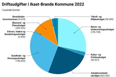 Ud af Ikast-Brande Kommunes samlede driftsbudget for 2022 på over 2,6 milliarder kroner ligger cirka 300 millioner kroner hos Økonomi- og Planudvalget. Men udvalget har ikke fri råderet over pengene, idet hovedparten af midlerne er øremærket til blandt andet drift af kommunale administrationsbygninger. En anden andel af pengene hører til i Byrådets Anlægspulje, som Økonomi- og Planudvalget har mandat til at bruge af, når situationen kræver hurtig handling. Men byrådet skal som øverste led i den demokratiske fødekæde altid spørges hurtigst muligt bagefter. Datawrapper-grafik: Camilla Abildgaard Norup og Thomas Vang Nielsen