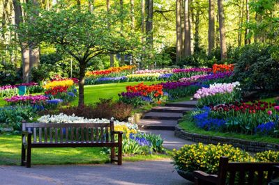 Om man er blomstermenneske eller ej, kan man ikke andet end glædes over de mange skønne farver og dufte. Blomsterne er i fokus i Keukenhof Bllomsterpark, men til Floriaden er det haven som helhed.