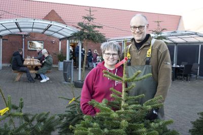 Det er langt fra kun juletræer, de sælger hos Øster Skovgaard Julehandel i Snejbjerg. Og særligt salget af stearinlys er der godt gang i. Foto: Tom Laursen