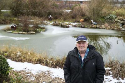 Jens Knudsen var manden, som havde mandarinænder. En af dem fik i starten af året flere til at besøge søen i Hammerum, hvor den svømmede rundt. Ænderne er desværre blevet skudt, tror han, for han så dem sidst for en måned siden. Foto: Jørn Deleuran