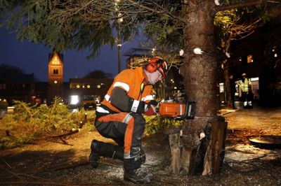 Gartner Andreas Brosbøl havde motorsaven fremme torsdag morgen, hvor det store juletræ på Torvet blev fjernet. Ellers kunne træet friste svage sjæle til at lave nytårsløjer. Foto: Henrik Ole Jensen