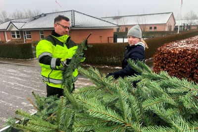Søren Andersen bruger nogle timer sammen med datteren Mathilde, hvor de indsamler juletræer i Aulum-området. Foto: Henrik Lind Jørgensen