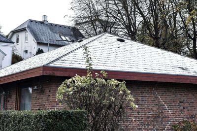 Mange husmår søger bolig på loftet i et parcelhus. Husmåren er et lille rovdyr med en hvid hals og nogle gange noget hvidt på forbenene. Resten af pelsen er mørkebrun. Den kan blive op til 70 centimeter lang og veje op til to kilo. foto: Henning Bagger/Ritzau Scanpix