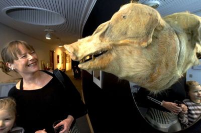 Værket »Svinene kommer. Svinene er her, de synger de svin« var en del af en stor Cronhammar-udstilling på det daværende Herning Kunstmuseum i 2007. Foto: Tony Brøchner