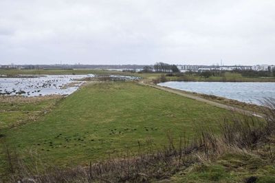 Herning Kommune vil gerne grave Holing Sø (til højre) større, men naturforeninger vil modsætte sig, at det sker hen over et unikt vådområde (til venstre). Parterne forsøger at lave en plan, der kan tilgodese alle. Foto: Jørn Deleuran