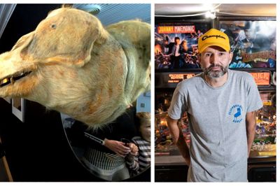 Kunstsamler Rasmus Riis har også en mindre samling flippermaskiner. Nu har han også et grisehoved. Foto: Jørn Deleuran og Tony Brøchner.