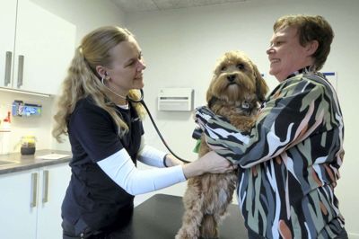Karina Marstrand fra Herning var taget til dyrlægen med familiens et år gamle hund af racen bichon havanais. På billedet får Coco tjekket sin hjertelyd, der viste sig at være fuldstændig normal. Foto: Bo Lundgaard