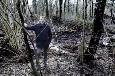 Der er her - i skoven bag haven - Ib Lauritsen de seneste måneder har gået og ryddet op. Den slags aktivitet er godt for hovedet, når det ikke skal handle om politik. Foto: Henrik Ole Jensen