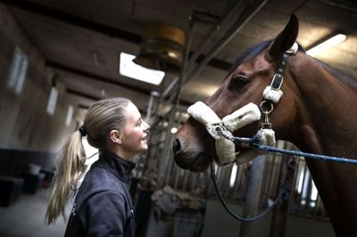 For to år siden købte Rikke Jørgensen Langergaard denne dansk varmblod. Sams Stratego hedder den. Det er hendes bedste ven, og i aften - og flere gange de kommende dage - skal hun ride dressur på den i Boxen. Foto: TOM Laursen