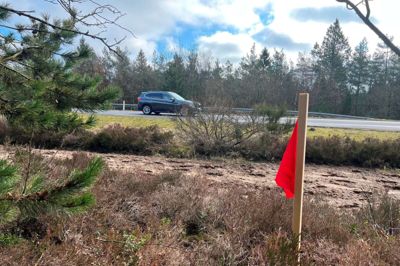 Den nye, dobbeltrettede cykelsti bliver 5,2 kilometer lang og anlægges mellem Hvæslundvej og Velhustedvej langs vestsiden af Vardevej med en bredde på 2,5 meter bag den eksisterende grøft. Flagene langs vejen viser, hvor det nye skel kommer til at ligge. Foto: Henrik Lind JØrgensen