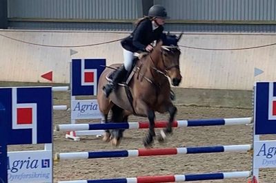 10-15-årige dystede i spring på pony ved DRF Landsstævne i Herning Rideklub hele weekenden. Foto: Privatfoto
