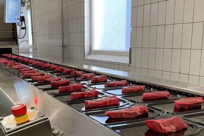 Hver eneste dag er der fuldt tryk på maskinerne hos Danish Crowns fabrik i Sdr. Felding. Foto: PR-foto