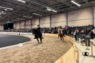 Der er fart over feltet, når de islandske heste tölter, og det gør de hele weekenden i MCH Messecenter Herning. Foto: Marianne R. Eskildsen