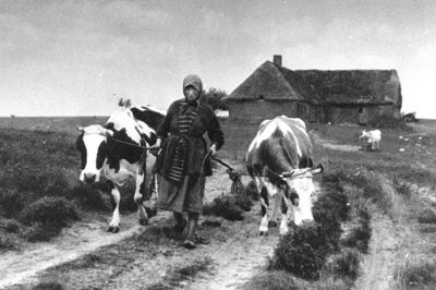 Ane Marie var en nøjsom og stærk kvinde, som levede alene i sit hus på heden. Foto: Lokalhistorisk Arkiv