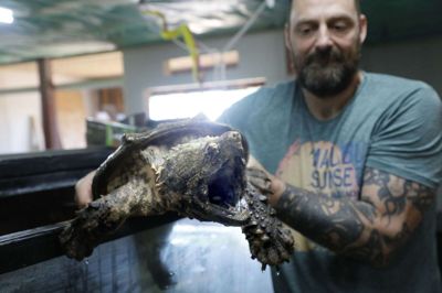 Niels Grøn, der står i spidsen for Reptilhuset i Vildbjerg. Foto: Henrik Ole Jensen