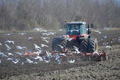 Biokul er en »silver bullet« - eller magisk løsning - for klimaet, fordi landbruget kan fjerne CO2 fra atmosfæren og samtidig producere flere fødevarer. Nu går Ringkøbing-Skjern Kommune foran i bestræbelserne på at udvikle den nye teknologi. Foto: PR-foto