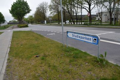 Ungdomsuddannelserne i Ikast er i stor udstrækning samlet, og det skal udnyttes til en bedre samlet markedsføring og socialt fællesskab på tværs af institutionerne. Foto: Flemming Thulstrup
