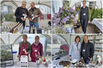 Flødeboller, krondyrsspegepølse og gin var blandt de produkter, man kunne smage ved Madmødet i Østergade i lørdags, hvor værksættere viste sig frem i gågaden. Foto: Palle Heering Nielsen/Befunky.com