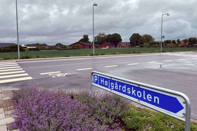 Den flødefarvede slange blev set mandag ved 16-tiden på Vesterlindvej - lige foran ind- og udkørslen til Højgårdskolen. Slangen gemte sig angiveligt i det høje græs i grøften ved hvedemarken på den anden side af gaden - og er ikke set siden. Foto: Bo Lundgaard