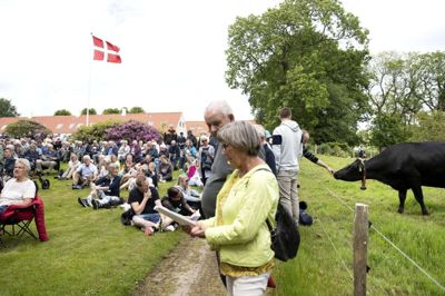 Der var sat nogle stole op, men folk havde også selv klapstole med til sommermødet, som atter blev en folkefest med 3100 mennesker, hvillket er flere, end der plejer at komme. Møltrup Optagelseshjem ligger ude på landet, så en ko eller to kom helt tæt på, mens der var taler og sang. foto: Tom Laursen