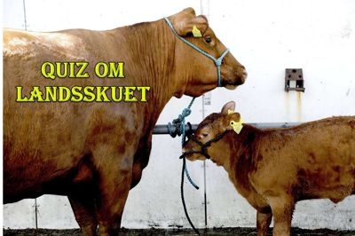 Foto: Henrik Ole Jensen
