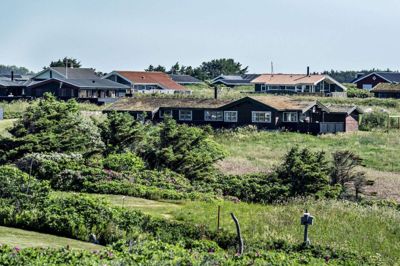 Det kan være en god idé at sondere terrænet blandt andre haver i sommerhusområdet, inden man begiver sig mod planteskolen. På den måde får man et overblik over, hvilke planter der har det bedst i naturen omkring ens sommerhus. (Arkivfoto). Henning Bagger/Ritzau Scanpix