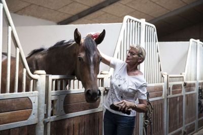Heste har haft Liselotte Ternvigs store interesse, siden hun som barn blev trukket rundt på en hest, når der var Børnehjælpsdag. Foto: MALENE TSWAI