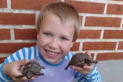 Syvårige Victor Ortmann glæder sig til at vise skildpadderne Chip og Chap frem på Aulum Dyrskue. Foto: Privatfoto