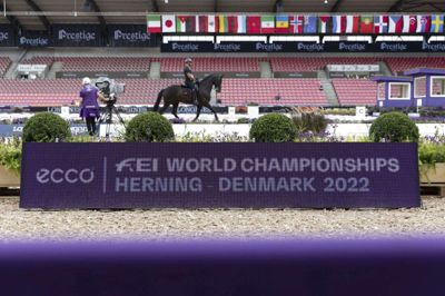 For anden dag i træk var der dansk VM-medalje ved verdensmesterskaberne i Herning. Foto: Friso Gentsch/Ritzau Scanpix