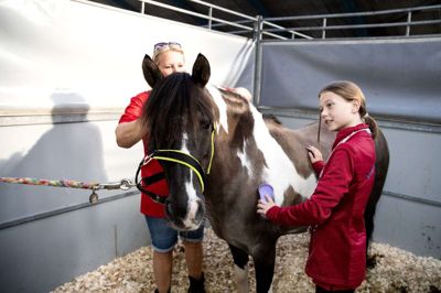 Henriette Kristensen bor på en gård på Klinkhøjvej mellem Ikast og Brande. 11-årige Hailie Lea Klint Andersen er plejedatter på gården. De har to heste og en pony - ponyen Klinkhøjs Arya, som de står ved - med til finalen i Agria og Dansk Ride Forbunds VM-Holdturnering, som afvikles i MCH Messecenter Herning under VM i Ridesport. Under VM bor de i campingvogn i en lejr på VM-området sammen med de andre holddeltagere. Foto: Tom Laursen