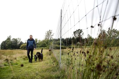 Jan Vestergaard har indhegnet et 4,5 hektar stort areal ved Ilskovvej nær Ikast. Her er etableret en hundeskov, hvor man kan booke tid til at råde over hele området og undgå at møde andre hunde. Men da en del af jorden er paragraf-3 jord og den anden del skal bebygges, må hegnet nu rives op. Foto: Tom Laursen