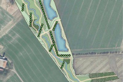 Det nye lokalplanområde skal håndtere vandet fra det nye boligområde i Gødstrup og samtidig blive et rekreativt område med lege- og opholdsarealer (de skraveret mørkegrønne områder) samt læhegn (rækker af grønne trækroner). Skitse: Herning Kommune